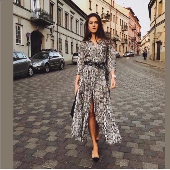zara snakeskin maxi dress